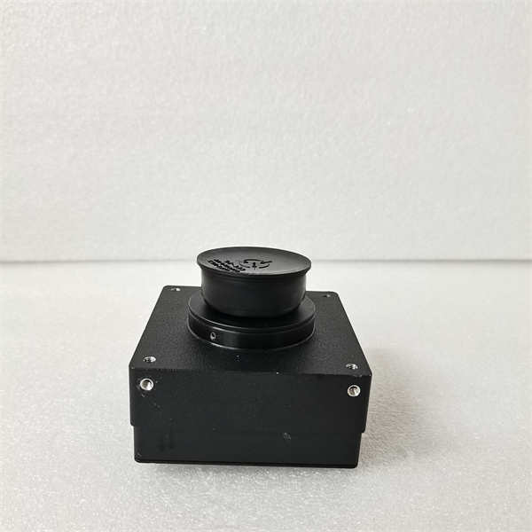 A404K BASLER 